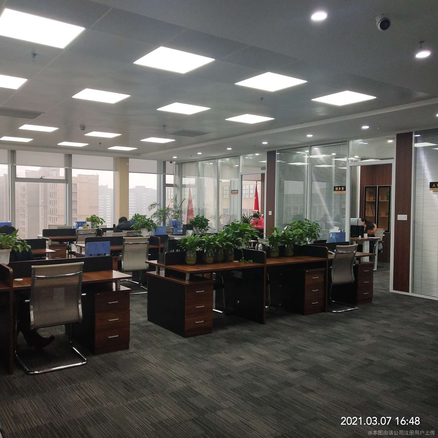 言啟商務信息咨詢 洞察數據，賦能決策